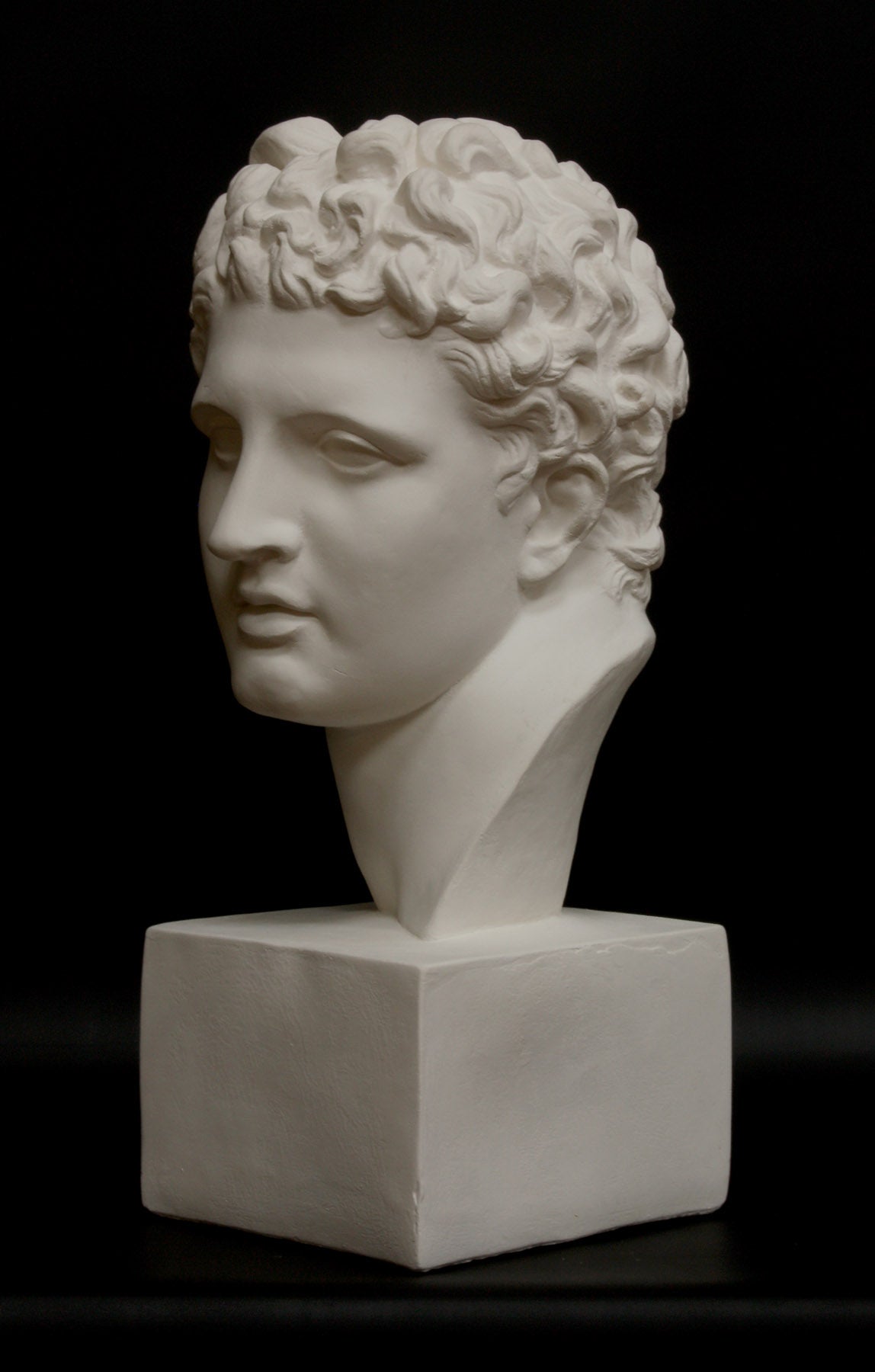 photo of white plaster cast of ancient sculpture of male head with curls, namely Meleager, on square base on black background