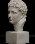 photo of white plaster cast of ancient sculpture of male head with curls, namely Meleager, on square base on black background