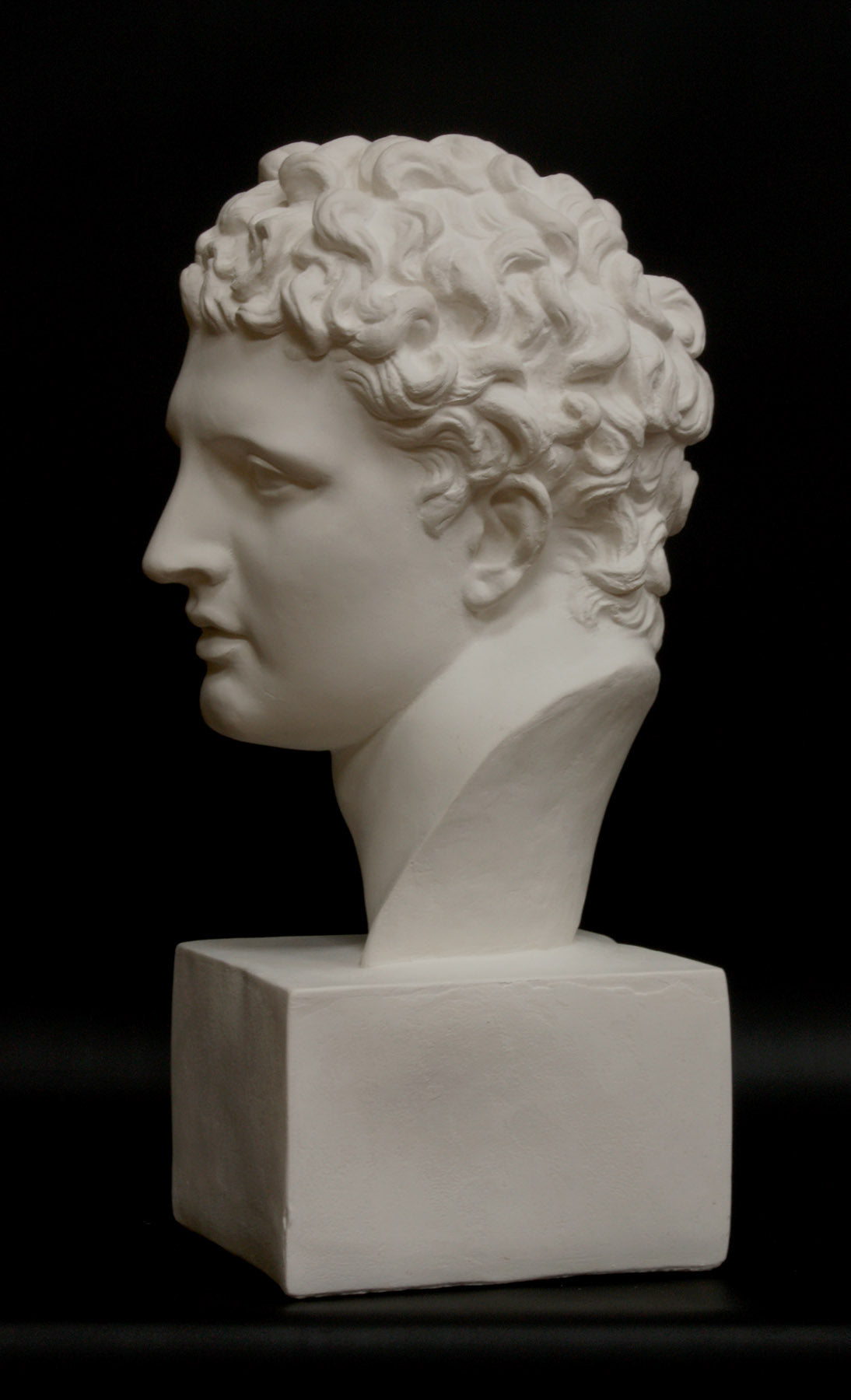 photo of white plaster cast of ancient sculpture of male head with curls, namely Meleager, on square base on black background