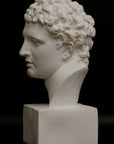 photo of white plaster cast of ancient sculpture of male head with curls, namely Meleager, on square base on black background