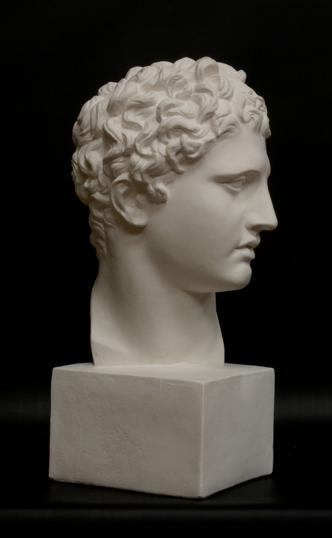 photo of white plaster cast of ancient sculpture of male head with curls, namely Meleager, on square base on black background