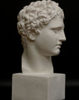 photo of white plaster cast of ancient sculpture of male head with curls, namely Meleager, on square base on black background