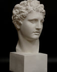 photo of white plaster cast of ancient sculpture of male head with curls, namely Meleager, on square base on black background