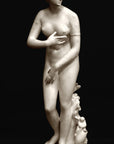 photo of plaster cast sculpture of Venus standing nude with two putti riding a dolphin at her feet