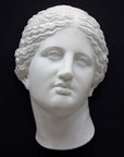 photo of white plaster cast of sculpture of face of Aphrodite of Knidos with wavy, pulled-back hair on dark gray background