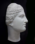 photo of white plaster cast of sculpture of face of Aphrodite of Knidos with wavy, pulled-back hair on dark gray background