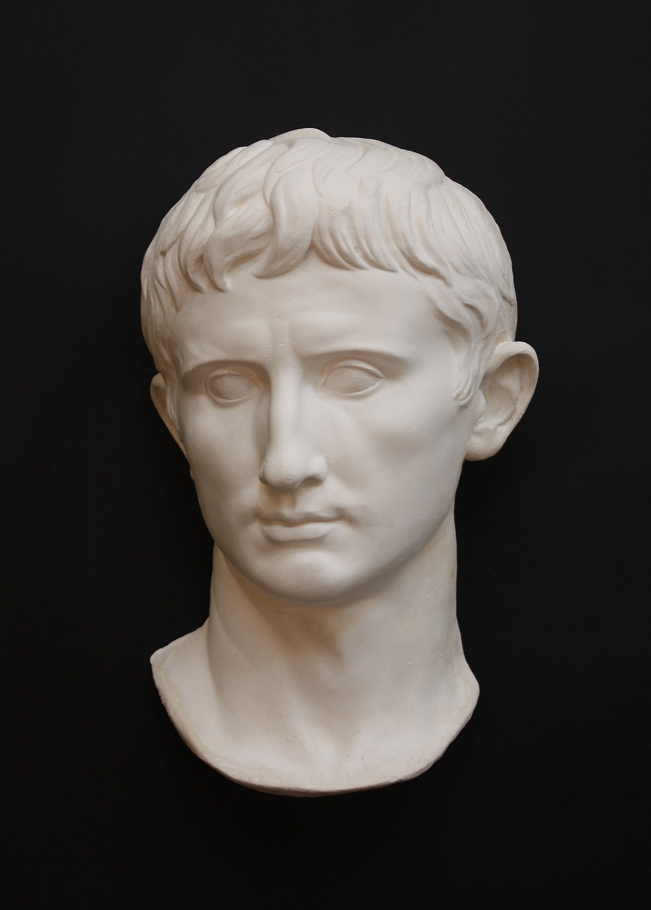 photo of white plaster cast sculpture of front half of head and neck of a male, namely Augustus Caesar, on black background