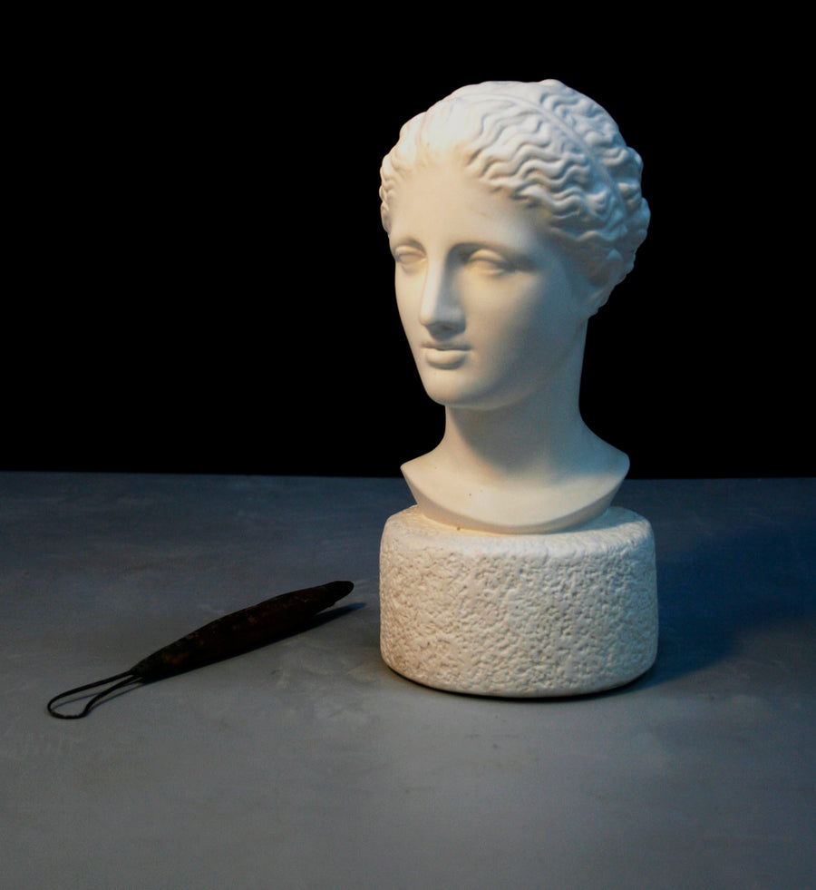 Classical Greco-Roman Female Bust Sculpture in United States
