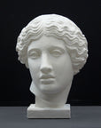 photo of plaster cast of sculpture of an Amazon head- female with pulled-back wavy hair on dark gray background