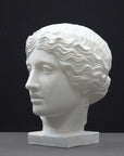 photo of plaster cast of sculpture of an Amazon head- female with pulled-back wavy hair on dark gray background