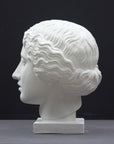 photo of plaster cast of sculpture of an Amazon head- female with pulled-back wavy hair on dark gray background