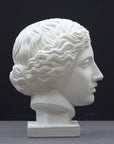 photo of plaster cast of sculpture of an Amazon head- female with pulled-back wavy hair on dark gray background