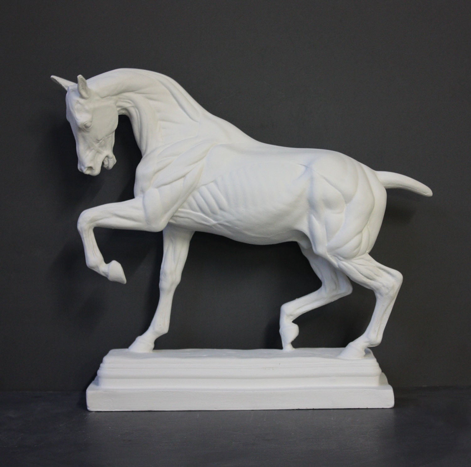 photo of white plaster cast sculpture of horse ecorche on gray background