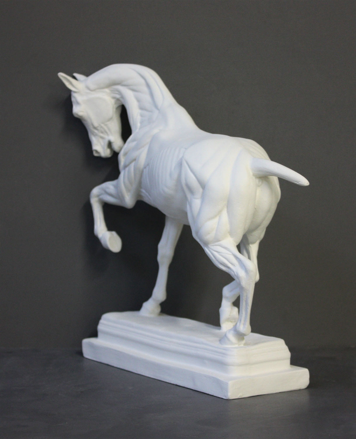 photo of white plaster cast sculpture of horse ecorche on gray background