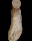 Photo of plaster cast male foot sculpture from the top on a black background