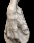 Voltaire Hand - Item 