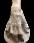 Voltaire Hand - Item 