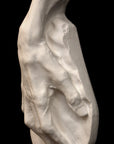 Voltaire Hand - Item 