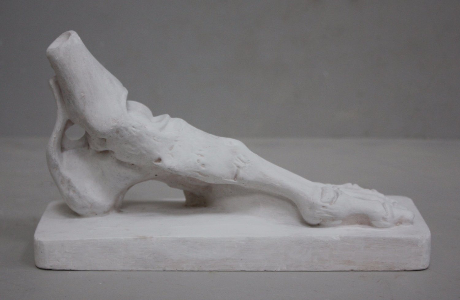 photo with gray background of plaster cast sculpture of flayed left foot on a rectangular base