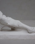 photo with gray background of plaster cast sculpture of flayed left foot on a rectangular base