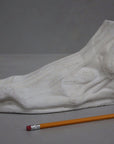 photo with gray background of plaster cast sculpture of flayed left foot on panel with yellow pencil beside it