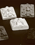 Photo with black backdrop of 7 square tile sculptures of faces made of leaves with different expressions