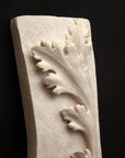 closeup photo of off-white plaster cast relief sculpture of acanthus leaf against black background