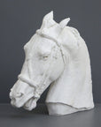 photo of plaster cast of horse head with bridle on a gray background