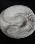 Photo of a plaster cast sculpture of a snake on a black background