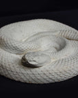 Photo of a plaster cast sculpture of a snake on a black background