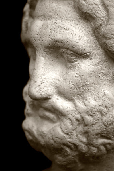 Photo with black background of plaster cast sculpture of male bust, namely the god Zeus, with curly hair and beard