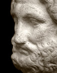 Photo with black background of plaster cast sculpture of male bust, namely the god Zeus, with curly hair and beard