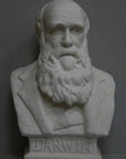 photo with gray background of plaster cast bust of man, namely Charles Darwin, with suit jacket and long beard