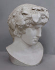 photo with gray background of plaster cast of male bust of Antinous with crown of leaves