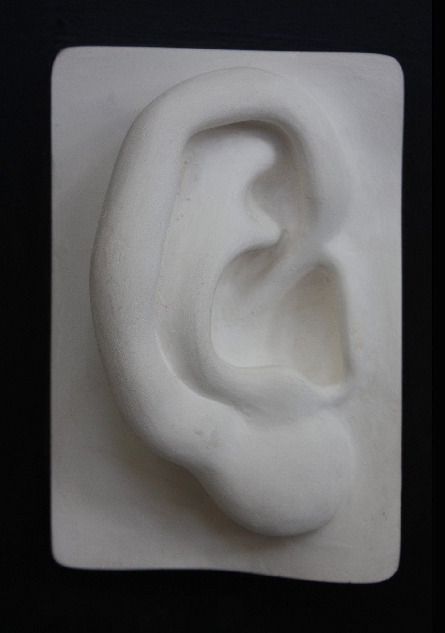 Photo of plaster cast sculpture of right ear on panel from Michelangelo&#39;s David statue on a black background