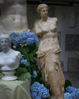 photo of plaster cast statues of partially nude female Venus de Melo on top of yellow cloth with blue flowers