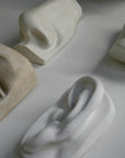 Photo of four plaster casts of nose, left eye, mouth, and left ear from Michelangelo's David statue from a sideways angle  on a white background