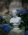 photo with plaster cast bust of woman, namely Venus, on table with yellow sheet and two tall figure casts in background and blue hydrangeas