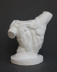 photo with gray background of plaster cast sculpture of male torso, namely Laocoon