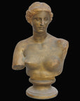 photo with black background of gold plaster cast bust and chest of woman, namely Venus