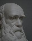 closeup photo with gray background of plaster cast bust of man, namely Charles Darwin, with suit jacket and long beard