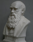 photo with gray background of plaster cast bust of man, namely Charles Darwin, with suit jacket and long beard